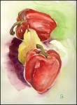 Red peppers and pear study 02, 14 x 11 inches watercolors