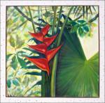 Heliconia, or "Lobster Claw" tropical rainforest plant, 48 x 48 inches acrylics on canvas, frame unnecessary