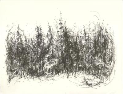 Marie Lake campsite, Alberta, pen on paper