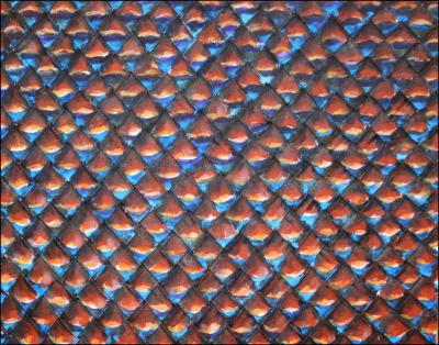 Central detail of 2D Pinecone, 24 x 24 inches woven canvas strips, acrylics - painting in progress