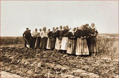 Doukhobor women breaking the land, Thunder Hill Colony, Manitoba, Canada, late 19th early 20th century
