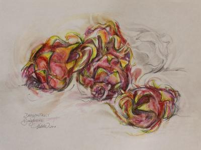 Dragonfruit, 9 x 12 inches watercolor pencils, graphite on paper