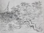 Bonsai Garden, Chinese Garden, Singapore  9 x 12 inches graphite on paper
