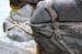 Archean rocks, Lake Superior just east of Wawa, Ontario