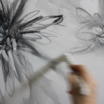 Detail of Chrysanthemums using primer with graphite