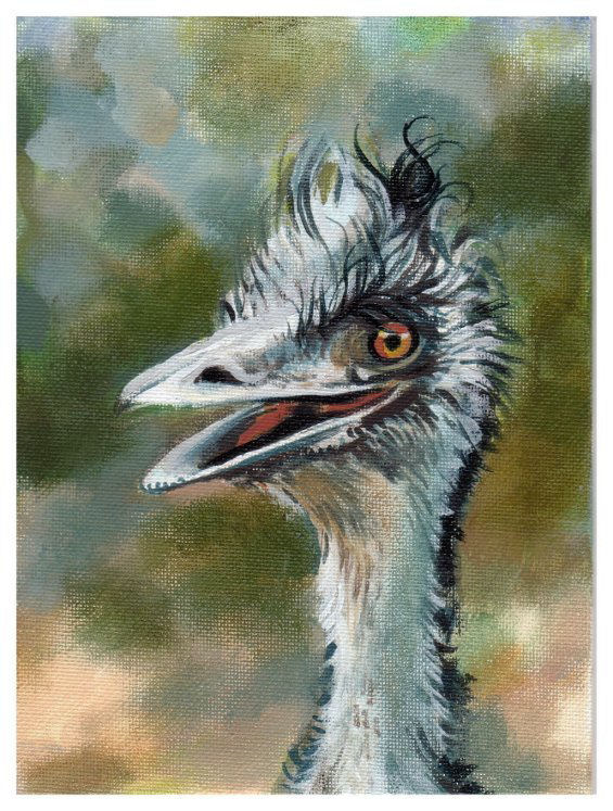 Emu, Australia, original sold, prints, cards and other items with this image available with this image Emu, Australia, original sold, prints, cards and other items with this image available