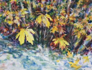 Big Leaf Maple,12 x 16 inches watercolors Big Leaf Maple,12 x 16 inches watercolors