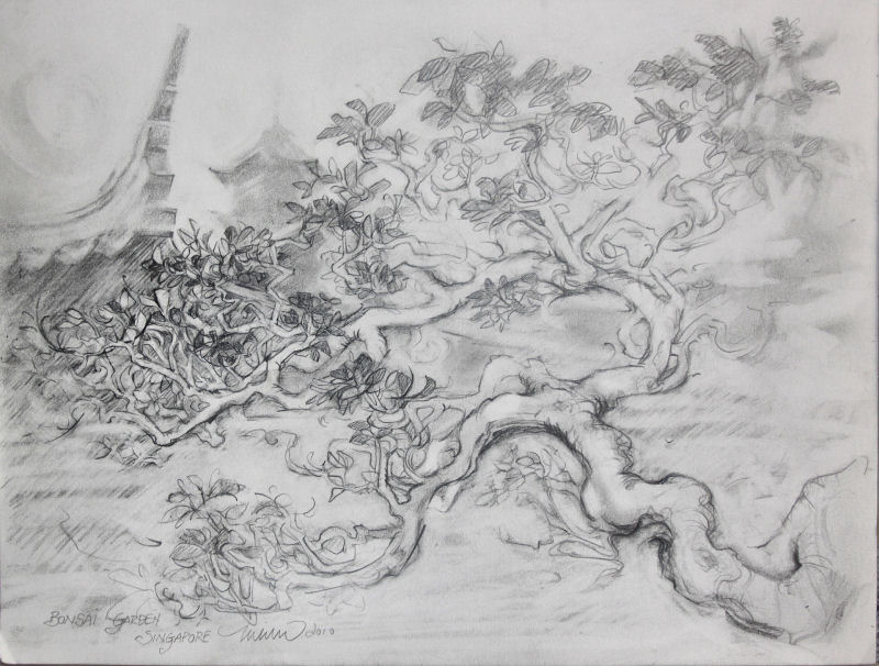 Bonsai Gardens, Singapore, 9 x 12 inches graphite on paper, 16 x 20" white frame Bonsai Gardens, Singapore, 9 x 12 inches graphite on paper, 16 x 20" white frame