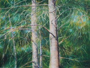 Eastern White Pine 18 x 24 inches Oil Pastels on paper, framed 26 x 32 Eastern White Pine 18 x 24 inches Oil Pastels on paper, framed 26 x 32