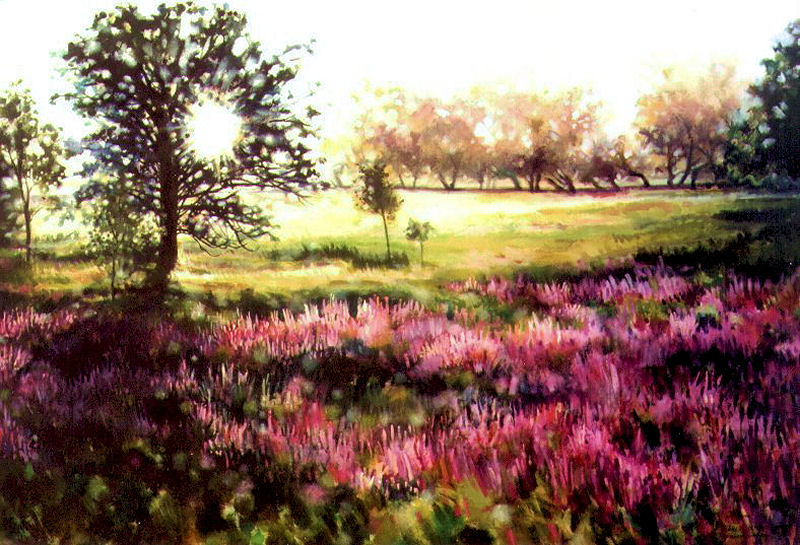 Loosestrife and Oak tree near Fallowfield, Ontario, Canada, 41 x 58 x 2 Acrylics on canvas, gallery wrapped sides painted. Older work Loosestrife and Oak tree near Fallowfield, Ontario, Canada, 41 x 58 x 2 Acrylics on canvas, gallery wrapped sides painted. Older work