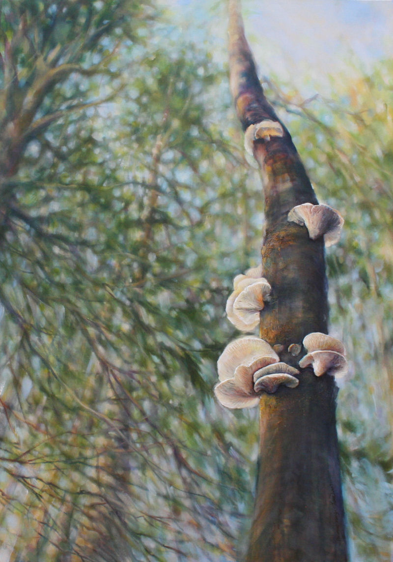 Polypore Fungi, 58 x 41 x 3 inches Acrylics and modeling paste on canvas, framed Polypore Fungi, 58 x 41 x 3 inches Acrylics and modeling paste on canvas, framed