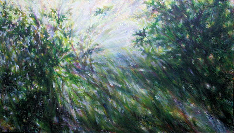 Sun Shower 04 45 x 85 x 3 inches acrylics on canvas, sturdy custom built frame, gallery wrapped sides painted Sun Shower 04 45 x 85 x 3 inches acrylics on canvas, sturdy custom built frame, gallery wrapped sides painted