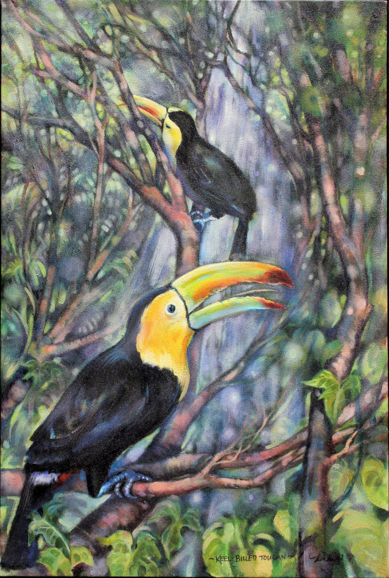 Keel-billed Toucans, 29H x 20W x 2D inches acrylics on canvas, wrapped sides painted, framed Keel-billed Toucans, 29H x 20W x 2D inches acrylics on canvas, wrapped sides painted, framed