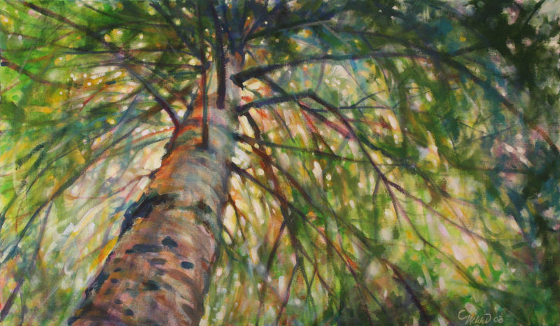 White Pine Bows, 20 x 34 x 2" acrylics on canvas. Original sold, Cards and Prints available White Pine Bows, 20 x 34 x 2" acrylics on canvas. Original sold, Cards and Prints available