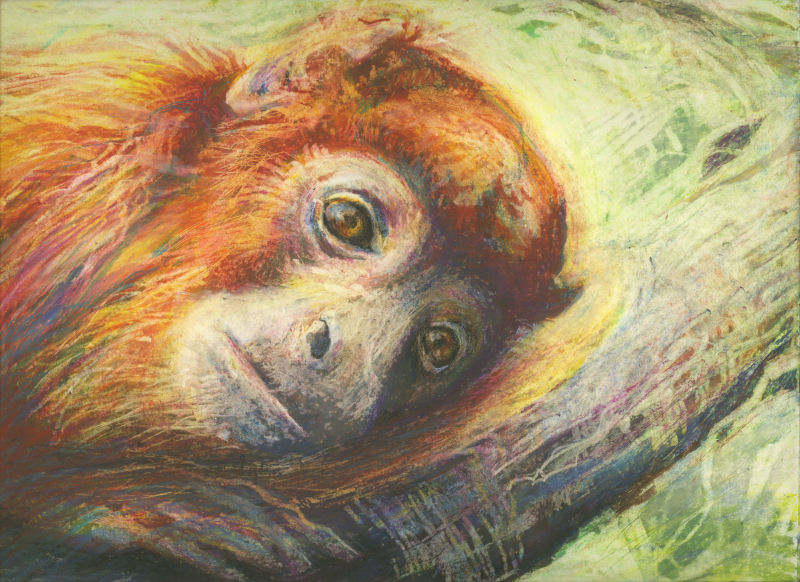 Sweet Howler Monkey 11 x 14 inches oil pastels on paper Sweet Howler Monkey 11 x 14 inches oil pastels on paper