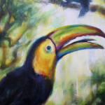 Main Keel-billed Toucan detail