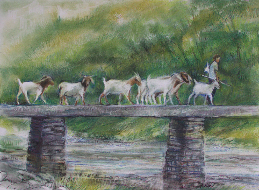 Goat Herder, 18H x 24W inches soft pastels on paper Goat Herder, 18H x 24W inches soft pastels on paper
