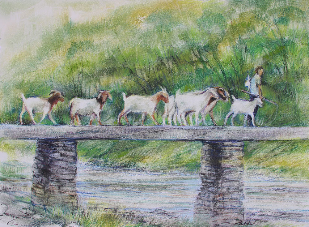 Goat Herder, 18H x 24W inches soft pastels on paper Goat Herder, 18H x 24W inches soft pastels on paper