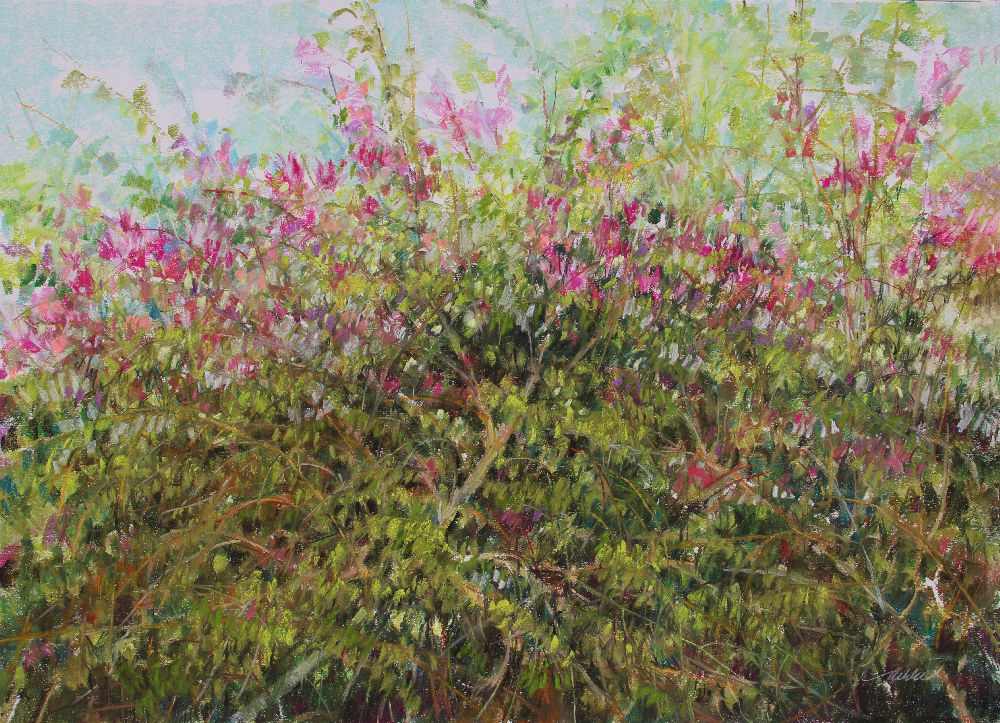 Bougainvillea, Jerash, Jordan, 18H x 24W inches soft pastels on paper Bougainvillea, Jerash, Jordan, 18H x 24W inches soft pastels on paper