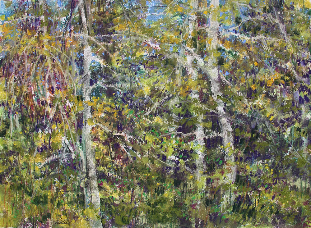 Rood Bridge Park Forest, 18H x 24W inches soft pastels on paper Rood Bridge Park Forest, 18H x 24W inches soft pastels on paper