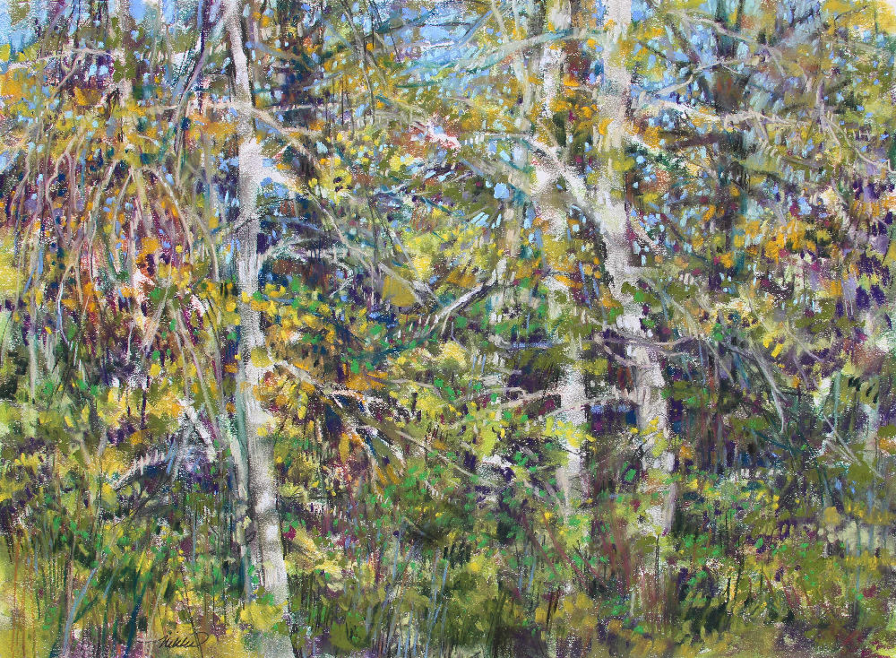 Rood Bridge Park Forest, 18H x 24W inches soft pastels on paper Rood Bridge Park Forest, 18H x 24W inches soft pastels on paper