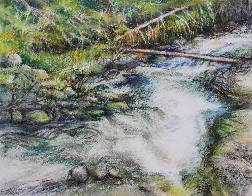 South Coldwater Creek, Mt. St. Helens, WA, 18H x 24W inches soft pastels on paper South Coldwater Creek, Mt. St. Helens, WA, 18H x 24W inches soft pastels on paper